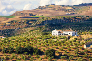 Grundstück Spanien